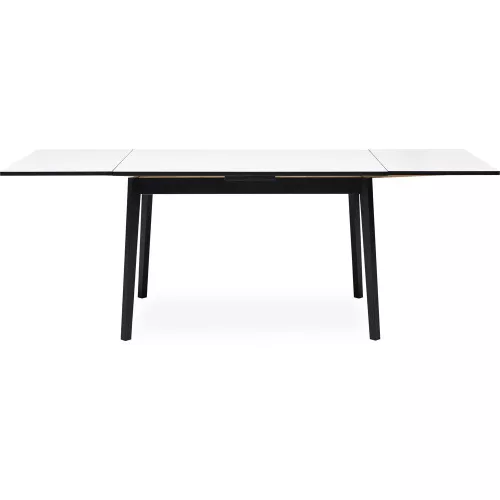 Single extendable dining table