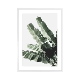 Banana Leaf I, picture