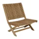 Julita Garden Lounge Chair