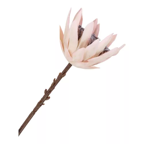 King Protea flower bouquet