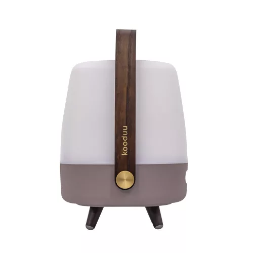 Lite-up Play Mini JBL Sand barna lámpa, hangszóró