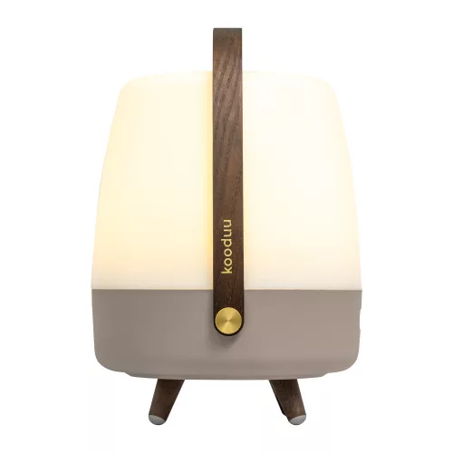 Lite-up Play JBL, Earth lamp, with speaker