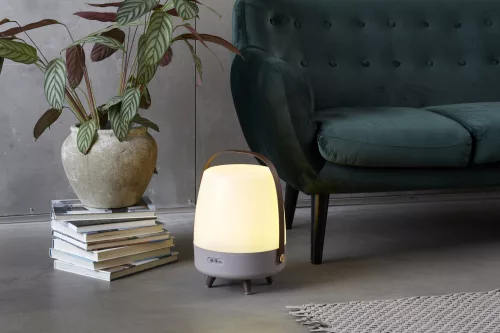 Lite-up Play JBL, Earth lamp, with speaker
