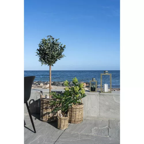 Skimmia Tree artificial plant