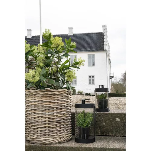 Skimmia Tree artificial plant