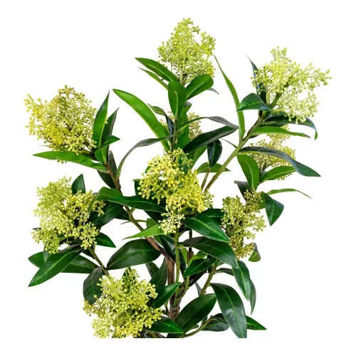 Skimmia Tree artificial plant