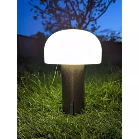 Soham portable LED table lamp
