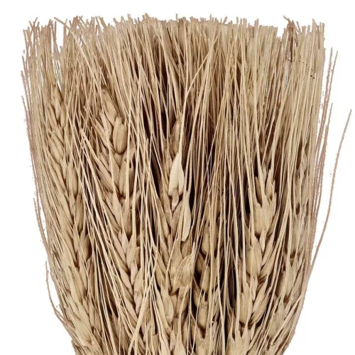 Caracas dried flower bouquet with vase