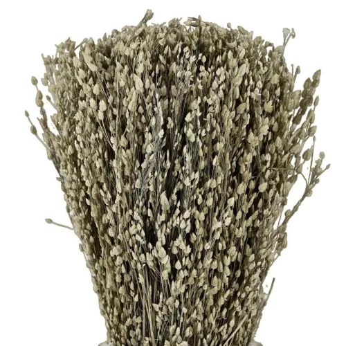 Caracas dried flower bouquet with vase