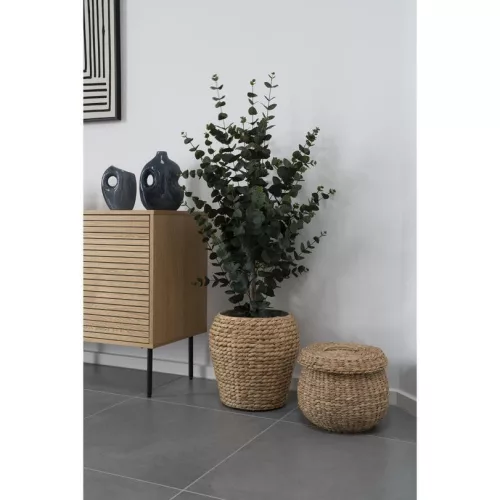 Eucalyptus wood, artificial plant