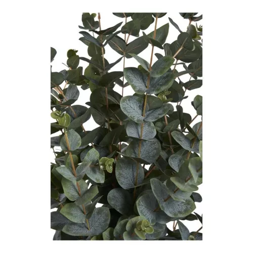 Eucalyptus wood, artificial plant