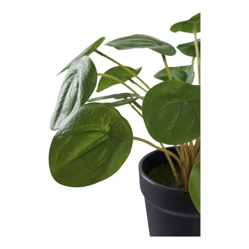 Pelia artificial flower