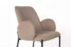 Tjarda design chair