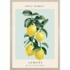Levitaiting lemons kép