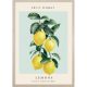 Levitaiting lemons kép