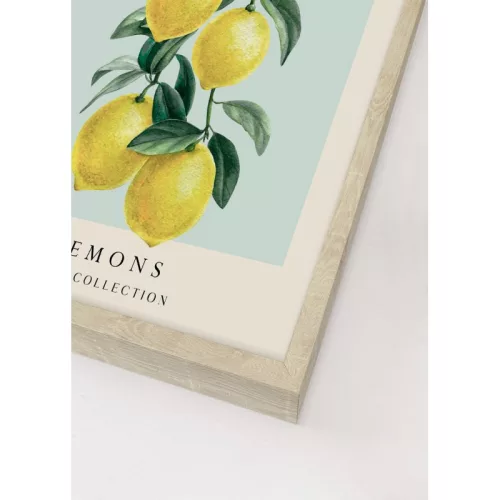 Levitaiting lemons picture