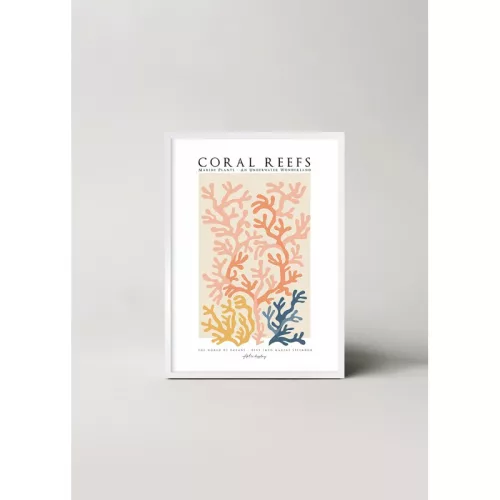 Magic of coral reefs picture