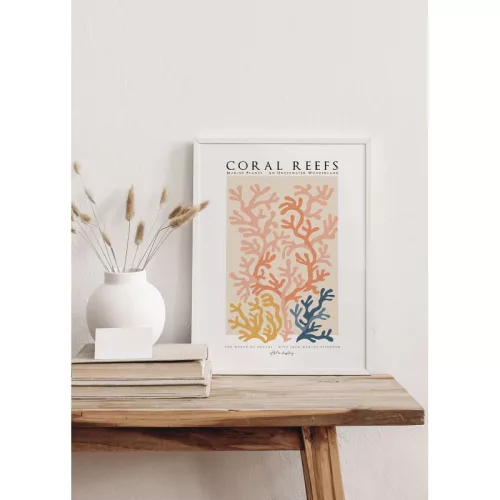 Magic of coral reefs picture