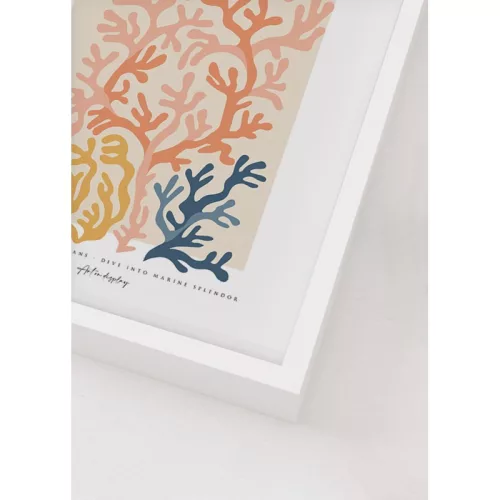 Magic of coral reefs picture