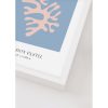 Pure of coral kép