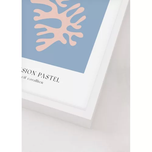 Pure of coral picture