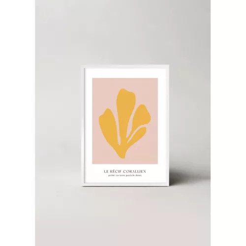 Coral Paradise picture