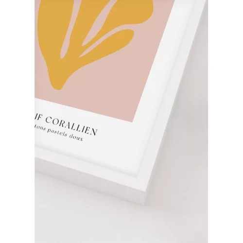 Coral Paradise picture