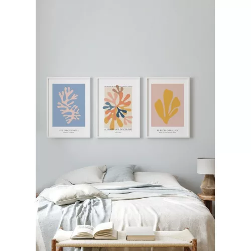 Coral Paradise picture