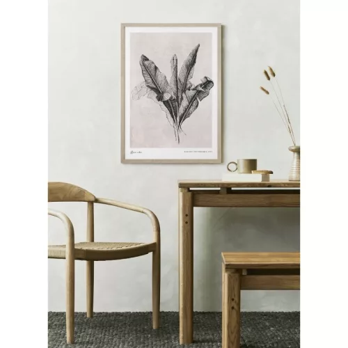 Banana Leaves picture