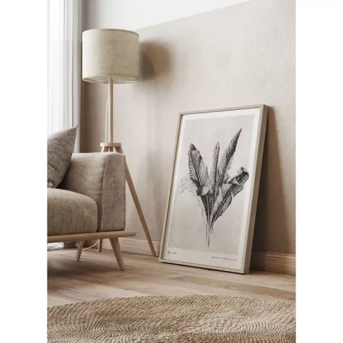 Banana Leaves picture