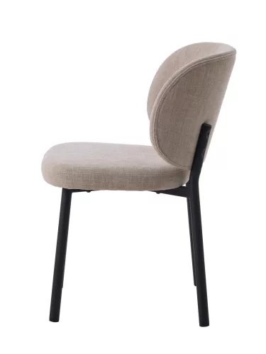 Swan design szék