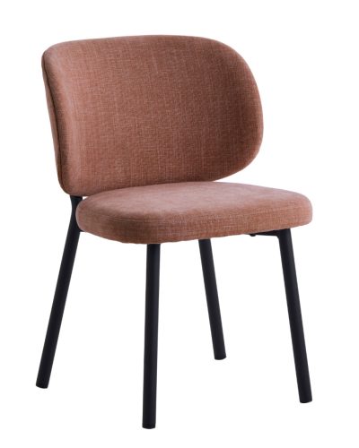 Swan design szék