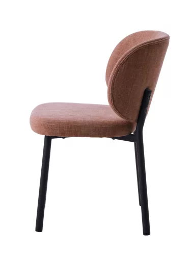 Swan design szék