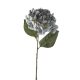 Hortensia művirág