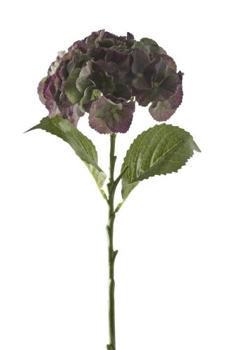Hortensia művirág