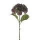 Hortensia művirág