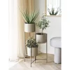 Plant stand