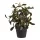 Artificial plant