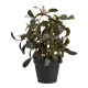 Artificial plant