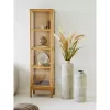Zamora display cabinet