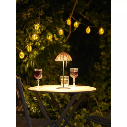 Carlisle LED string light