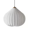 Onion pendant lamp