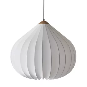 Onion pendant lamp