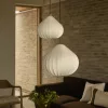 Onion pendant lamp