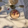 Kimoa garden coffee table
