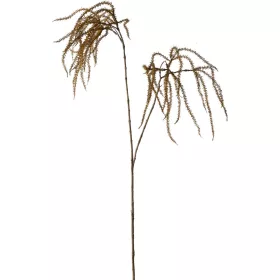 Amaranthus műnövény